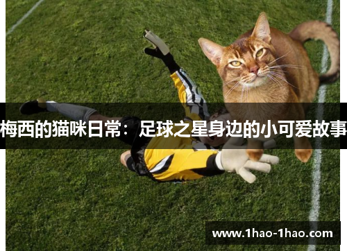 梅西的猫咪日常：足球之星身边的小可爱故事