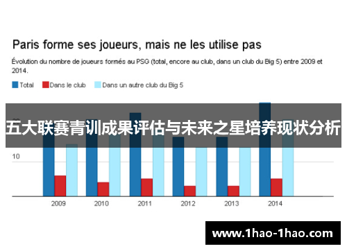 五大联赛青训成果评估与未来之星培养现状分析